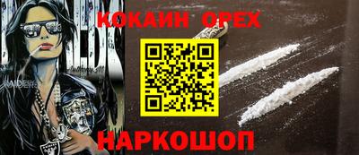 apvp Кингисепп