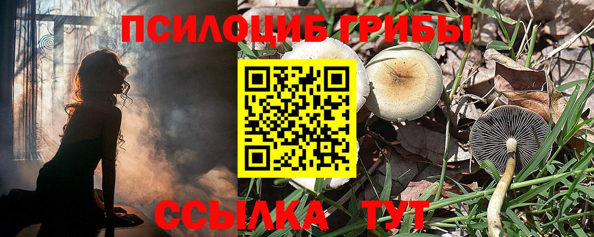 Галлюциногенные грибы GOLDEN TEACHER Лениногорск