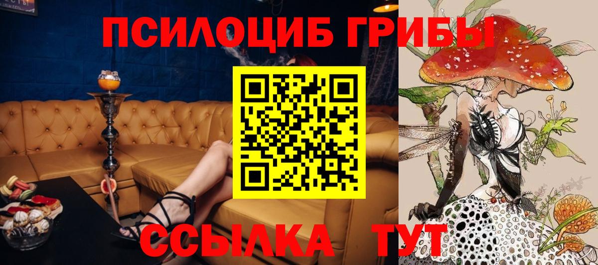 Лениногорск  Галлюциногенные грибы мицелий  Вход с VPN 